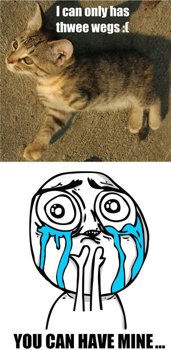 tumblr_lvjd9wX5oL1qewacoo1_500.jpg