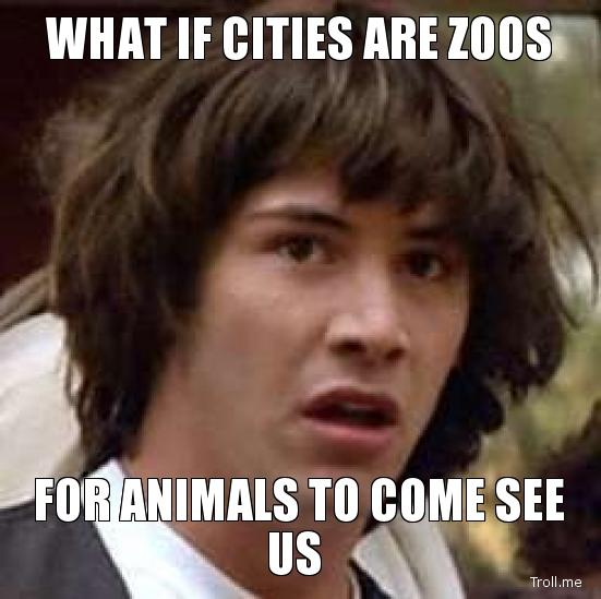what-if-cities-are-zoos-for-animals-to-come-see-us.jpg