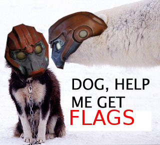3f5.jpg