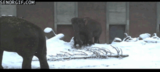 6e7.gif