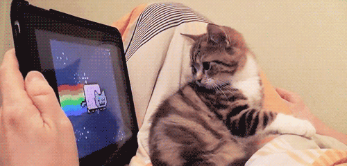 99d.gif