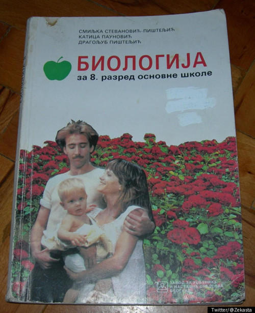 1a6.jpg