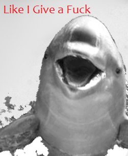 f43.png