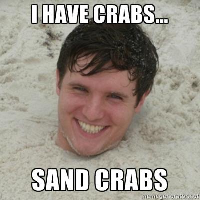 Creeper on the Beach