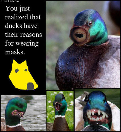 Duck bills are dog masks