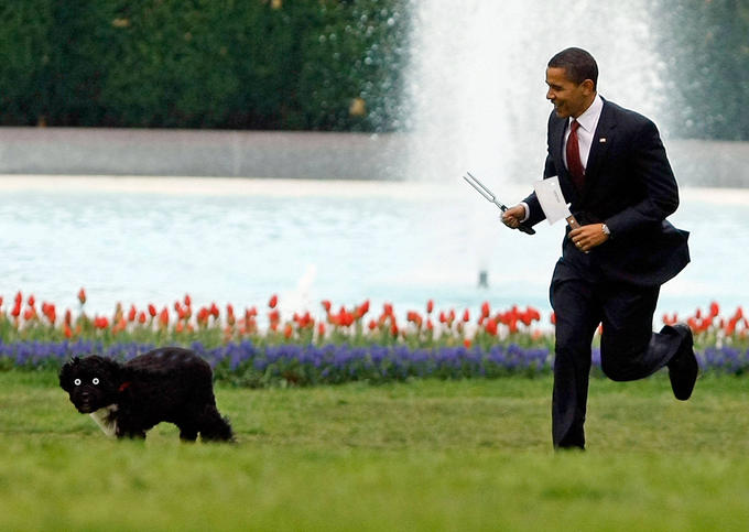 Run Bo Run!