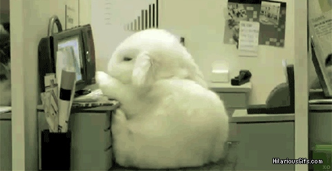 fb0.gif