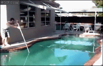 73e.gif