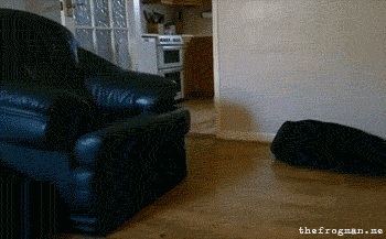 1cb.gif