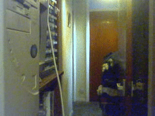 94f.gif