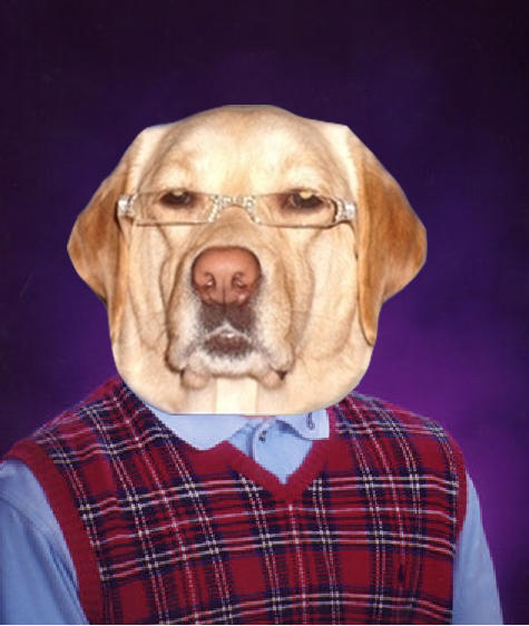 Bad Luck Racist Dog