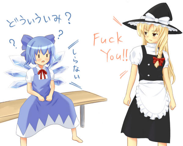 本格的まりさとチルノ2