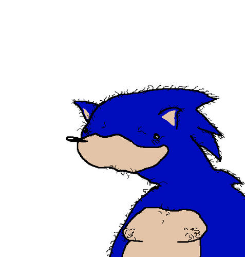 sanic heghod