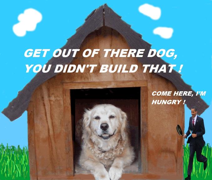 In The Dog House