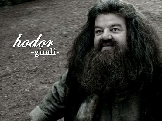 a song of ice and fire: lord of the hogwarts
