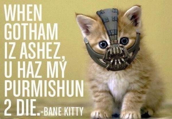 Bane Kitty