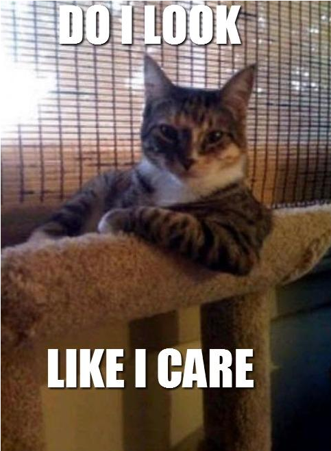 DO I LOOK LIKE I CARE