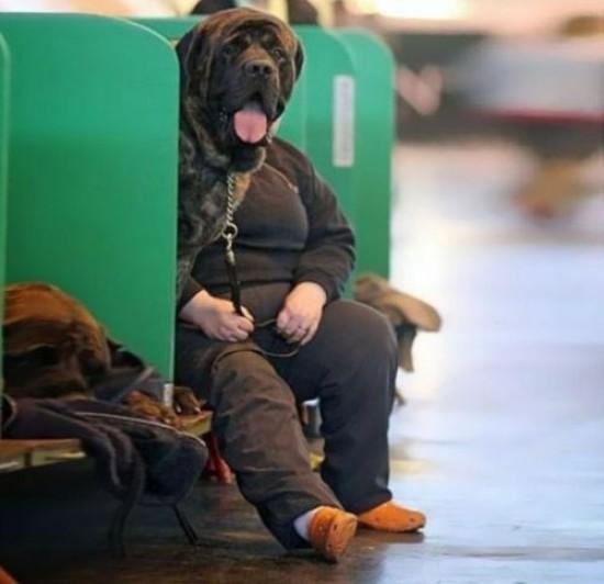The dog is a woman