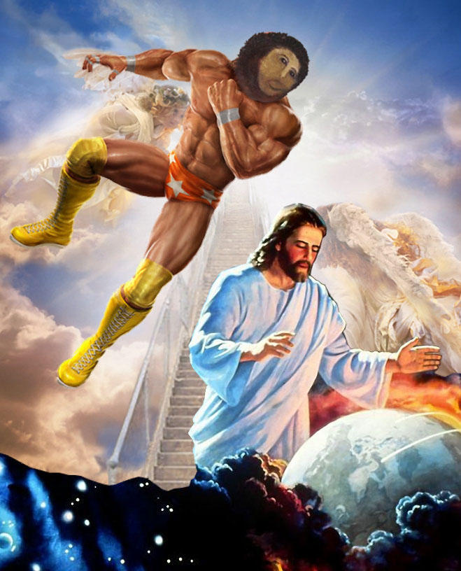 cf8.jpg