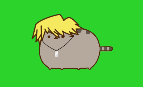 337.gif