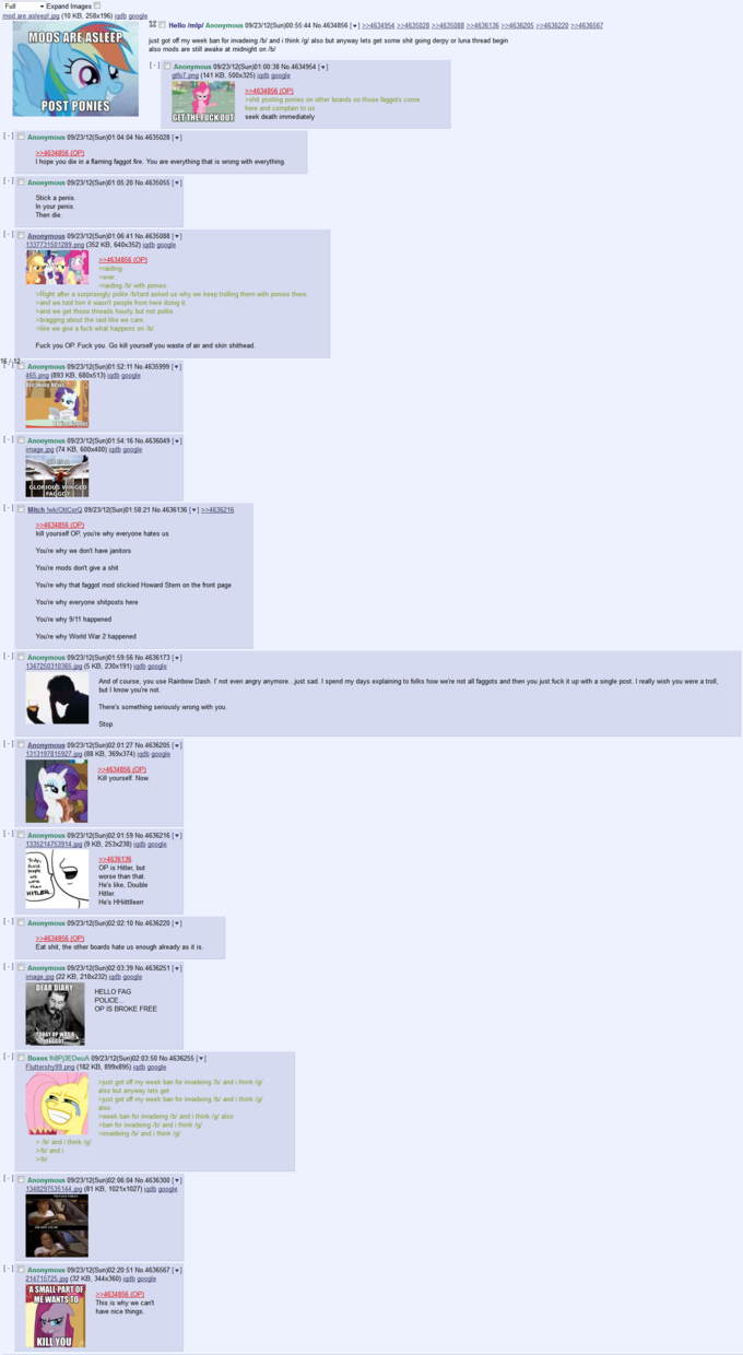How /mlp/ responds to people being stupid