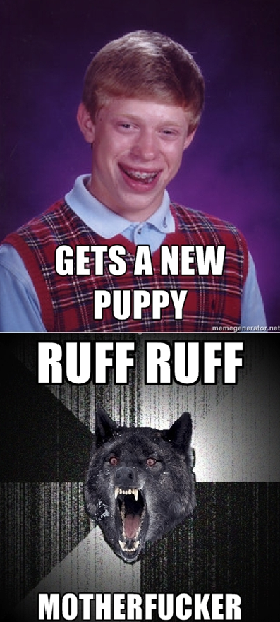 New Puppy