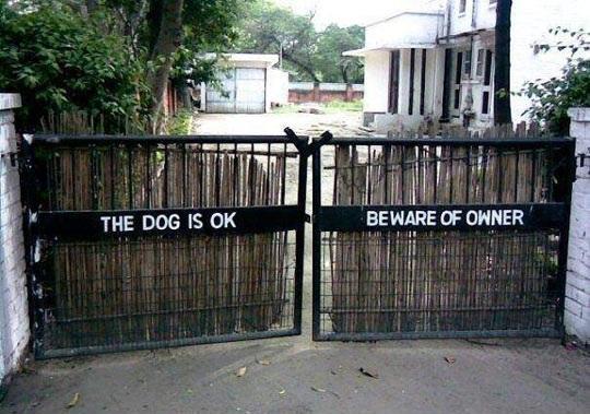 Do Not Beware of Dog