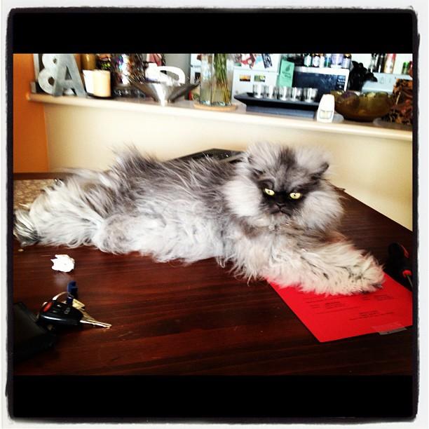 "I don't give a sh*t if you eat up here... I sleep up here."