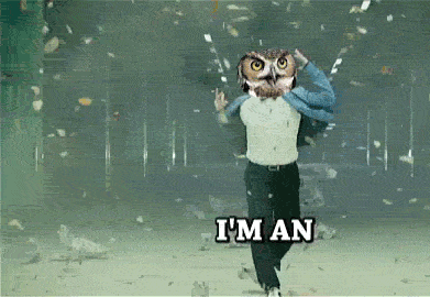 48e.gif