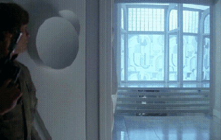 558.gif
