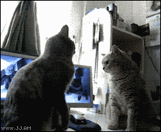 f45.gif