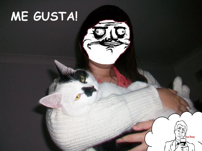 I like cat