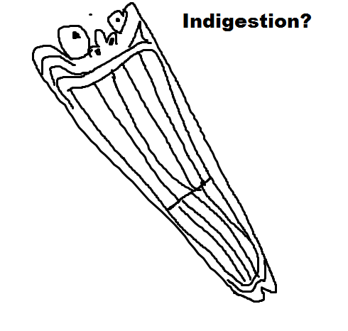 571.png
