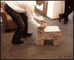 fc7.gif