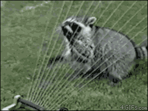57d.gif