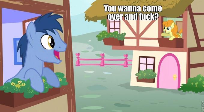 bab.jpg