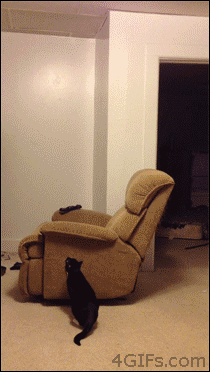 ab8.gif