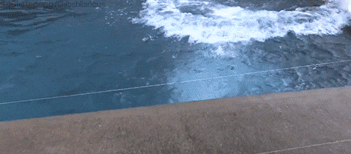 96e.gif