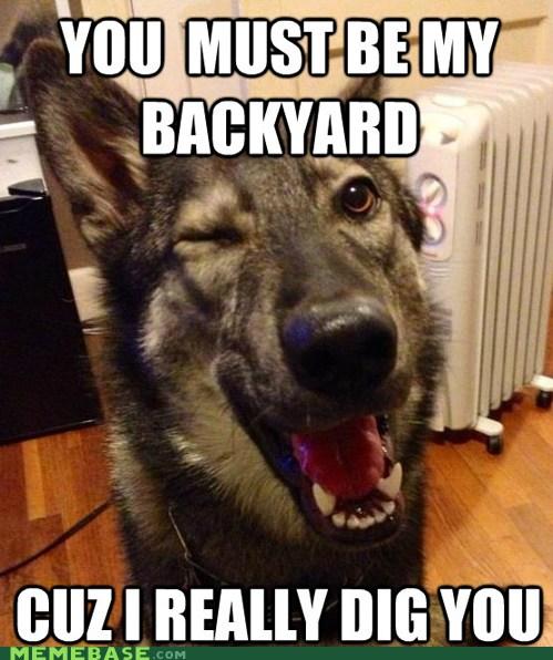Meet Pickup pup