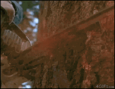 http://i2.kym-cdn.com/photos/images/newsfeed/000/455/301/811.gif