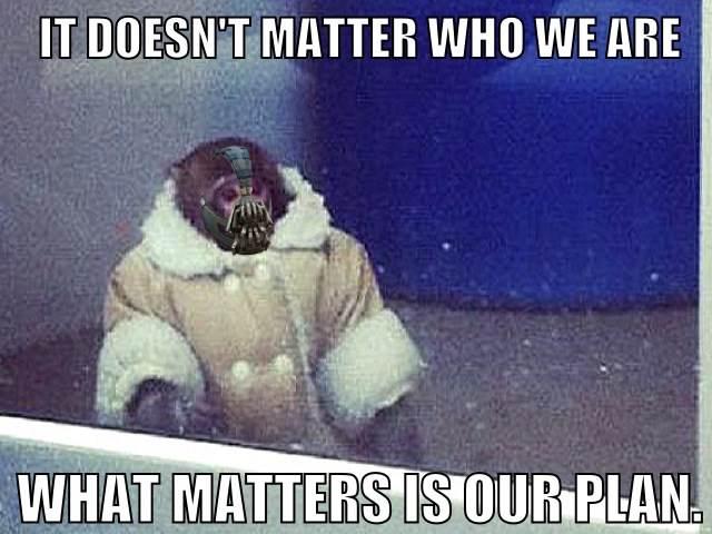 IKEA Monkey / Bane