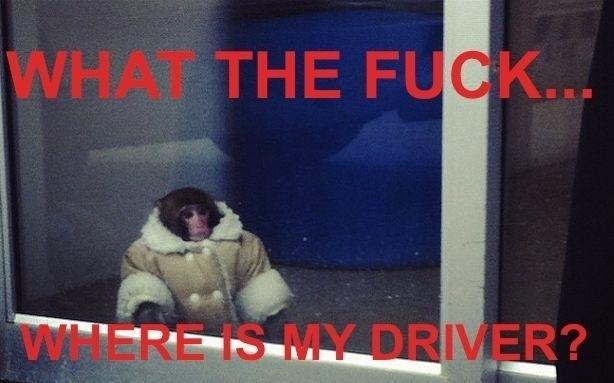 First World Monkey Problems