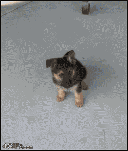 b15.gif