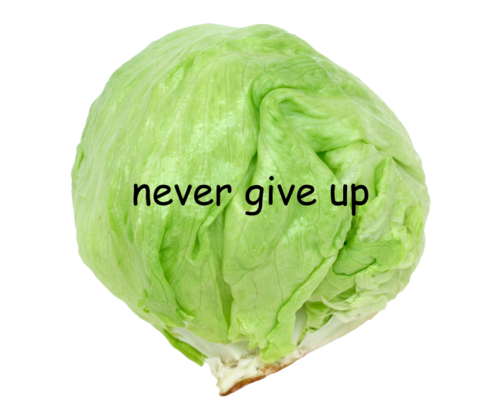 ba1.png
