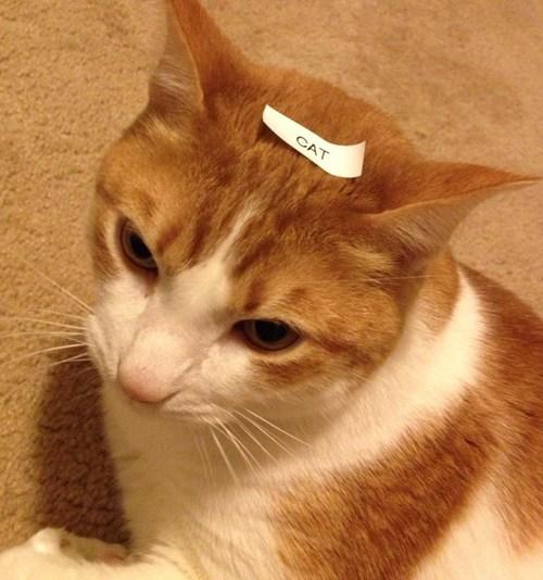 Friend got a label maker for Christmas.