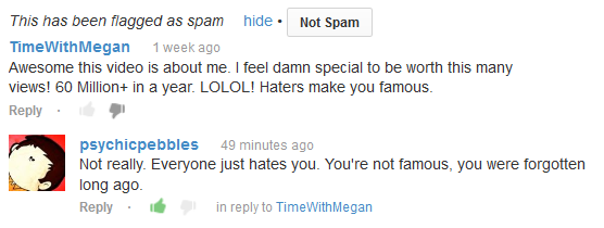 PsychicPebbles' Reply To Megan