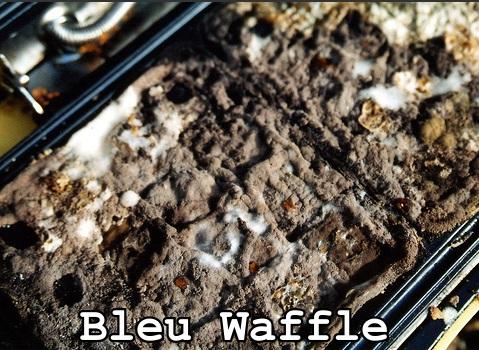 Bleu Waffle