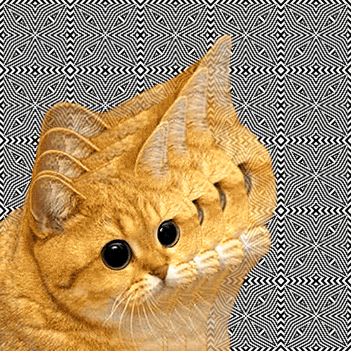 840.gif