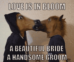 78b.gif
