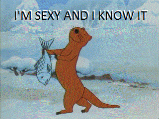 Sexy and I know it
